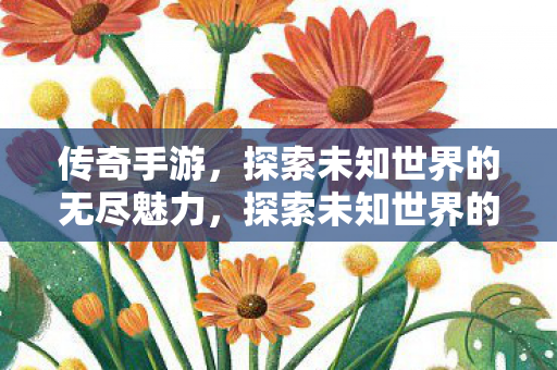 传奇手游，探索未知世界的无尽魅力，探索未知世界的无尽魅力，传奇手游