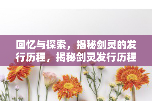 揭秘剑灵的发行历程图片