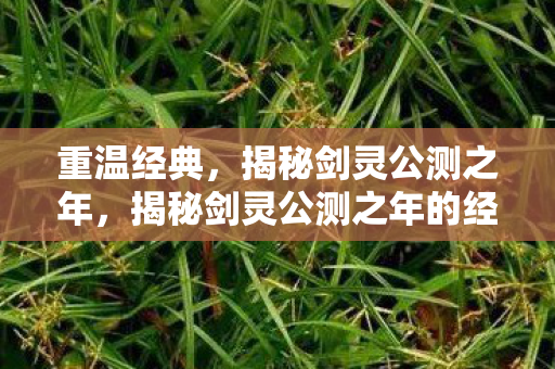 揭秘剑灵公测之年的经典回忆图片