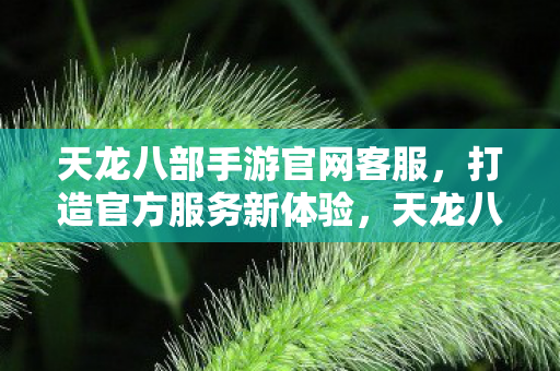 天龙八部手游官网客服,打造官方服务新体验,天龙八部手游官网客服,打造官方服务新体验 天龙八部手游官网客服,打造官方服务新体验,天龙八部手游官网客服,打造官方服务新体验