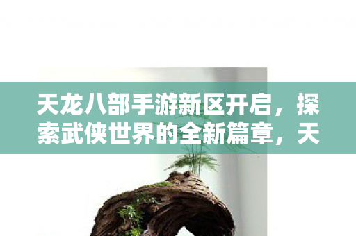 天龙八部手游新区开启,探索武侠世界的全新篇章,天龙八部手游新区开启,探索武侠世界的全新篇章 天龙八部手游新区开启,探索武侠世界的全新篇章,天龙八部手游新区开启,探索武侠世界的全新篇章
