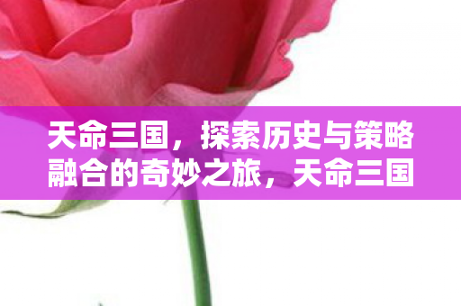 天命三国，探索历史与策略融合的奇妙之旅，天命三国，历史与策略交织的奇妙冒险之旅