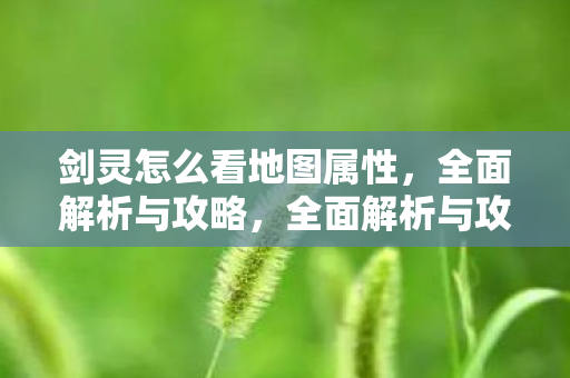 如何查看剑灵地图属性图片