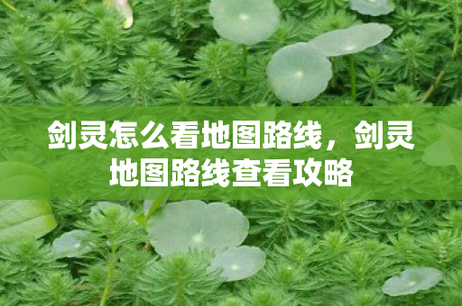 剑灵地图路线查看攻略图片