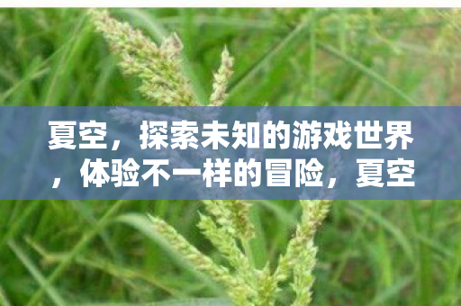 夏空,探索未知的游戏世界,体验不一样的冒险,夏空,探索未知游戏世界,开启别样冒险之旅 夏空,探索未知的游戏世界,体验不一样的冒险,夏空,探索未知游戏世界,开启别样冒险之旅