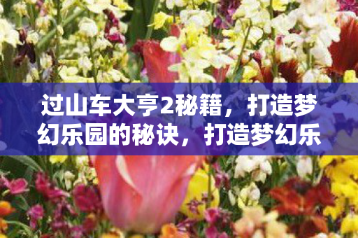 过山车大亨2秘籍，打造梦幻乐园的秘诀，打造梦幻乐园，揭秘过山车大亨2的秘籍