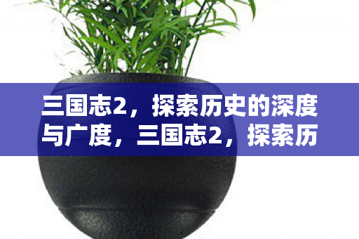 三国志2,探索历史的深度与广度,三国志2,探索历史的深度与广度 三国志2,探索历史的深度与广度,三国志2,探索历史的深度与广度