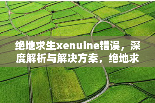 绝地求生xenuine错误,深度解析与解决方案,绝地求生xenuine错误深度解析及解决方案 绝地求生xenuine错误,深度解析与解决方案,绝地求生xenuine错误深度解析及解决方案