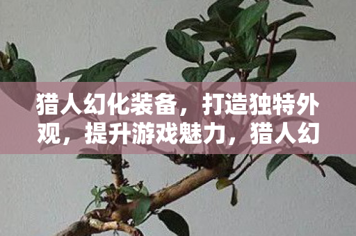 猎人幻化装备,打造独特外观,提升游戏魅力,猎人幻化装备,打造独特外观,提升游戏魅力 猎人幻化装备,打造独特外观,提升游戏魅力,猎人幻化装备,打造独特外观,提升游戏魅力