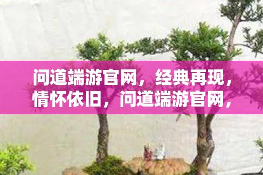 问道端游官网图片