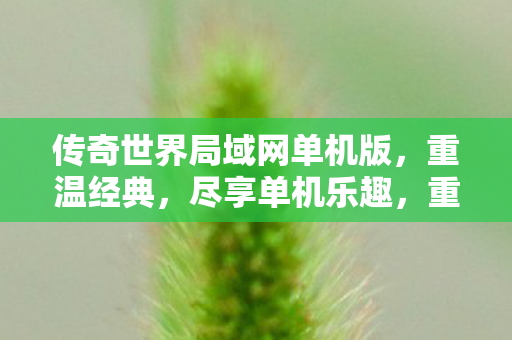 传奇世界局域网单机版,重温经典,尽享单机乐趣,重温经典单机乐趣,传奇世界局域网单机版 传奇世界局域网单机版,重温经典,尽享单机乐趣,重温经典单机乐趣,传奇世界局域网单机版