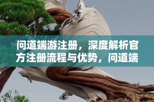 深度解析官方注册流程与优势图片
