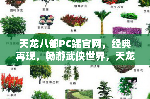 天龙八部PC端官网,经典再现,畅游武侠世界,天龙八部PC端官网上线,重温经典武侠世界 天龙八部PC端官网,经典再现,畅游武侠世界,天龙八部PC端官网上线,重温经典武侠世界