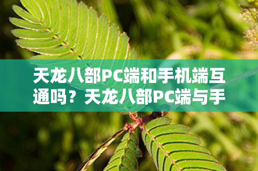 天龙八部PC端和手机端互通吗?天龙八部PC端与手机端是否互通? 天龙八部PC端和手机端互通吗?天龙八部PC端与手机端是否互通?