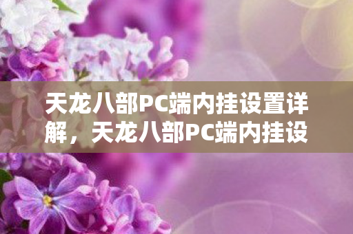 天龙八部PC端内挂设置详解，天龙八部PC端内挂设置全解析