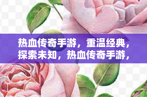 热血传奇手游图片