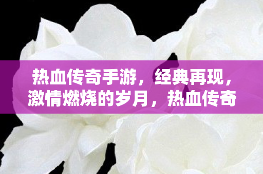 热血传奇手游,经典再现,激情燃烧的岁月,热血传奇手游,经典再现,重温激情燃烧的岁月 热血传奇手游,经典再现,激情燃烧的岁月,热血传奇手游,经典再现,重温激情燃烧的岁月