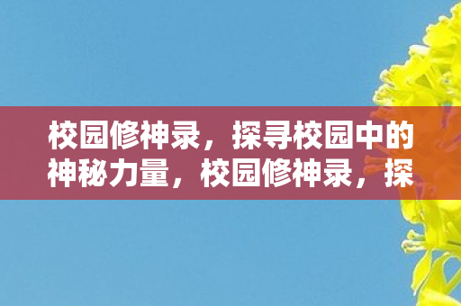 校园修神录，探寻校园中的神秘力量，校园修神录，探寻校园中的神秘力量
