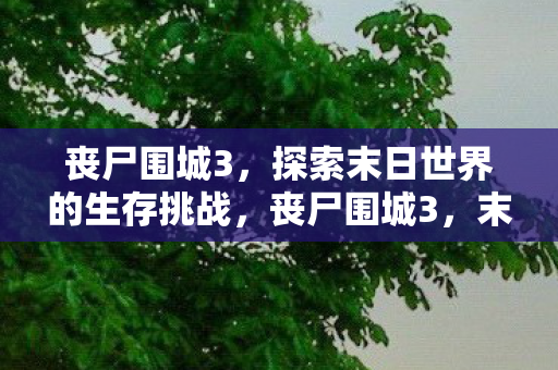 丧尸围城3,探索末日世界的生存挑战,丧尸围城3,末日世界的生存挑战之旅 丧尸围城3,探索末日世界的生存挑战,丧尸围城3,末日世界的生存挑战之旅
