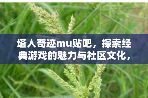 塔人奇迹mu贴吧,探索经典游戏的魅力与社区文化,塔人奇迹mu贴吧,探索经典游戏魅力与社区文化 塔人奇迹mu贴吧,探索经典游戏的魅力与社区文化,塔人奇迹mu贴吧,探索经典游戏魅力与社区文化