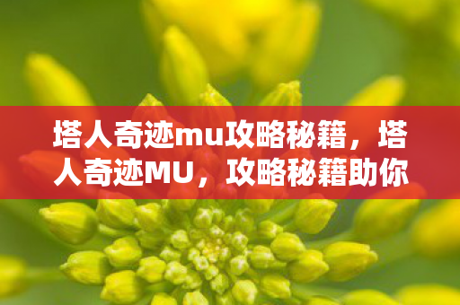 塔人奇迹mu攻略秘籍,塔人奇迹MU,攻略秘籍助你称霸游戏世界 塔人奇迹mu攻略秘籍,塔人奇迹MU,攻略秘籍助你称霸游戏世界