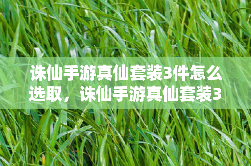 诛仙手游真仙套装3件怎么选取,诛仙手游真仙套装3件选取攻略 诛仙手游真仙套装3件怎么选取,诛仙手游真仙套装3件选取攻略