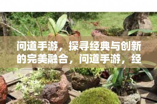 探寻经典与创新的完美融合图片