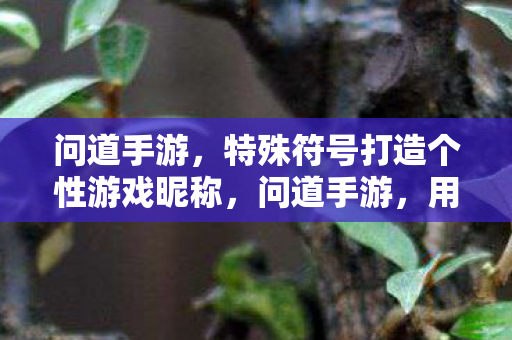 问道手游,特殊符号打造个性游戏昵称,问道手游,用特殊符号打造个性游戏昵称 问道手游,特殊符号打造个性游戏昵称,问道手游,用特殊符号打造个性游戏昵称