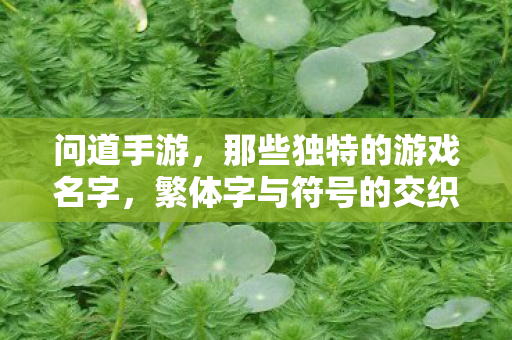 问道手游,那些独特的游戏名字,繁体字与符号的交织艺术,问道手游,独特游戏名字,繁体字与符号的交织艺术 问道手游,那些独特的游戏名字,繁体字与符号的交织艺术,问道手游,独特游戏名字,繁体字与符号的交织艺术
