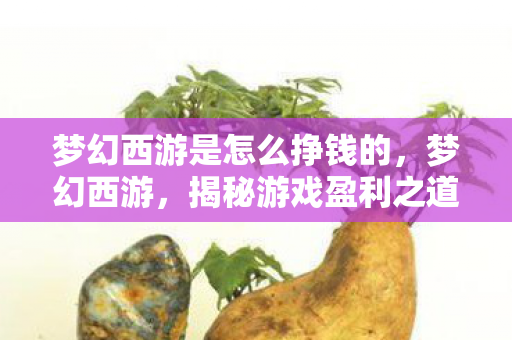 梦幻西游是怎么挣钱的,梦幻西游,揭秘游戏盈利之道 梦幻西游是怎么挣钱的,梦幻西游,揭秘游戏盈利之道