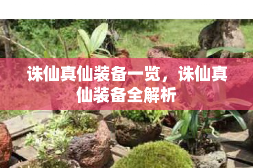 诛仙真仙装备一览,诛仙真仙装备全解析 诛仙真仙装备一览,诛仙真仙装备全解析