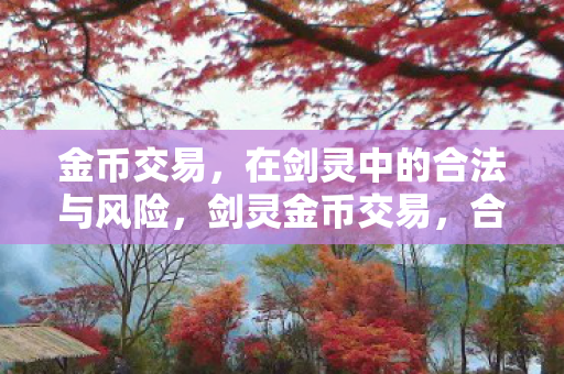 在剑灵中的合法与风险图片