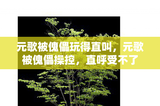 元歌被傀儡玩得直叫,元歌被傀儡操控,直呼受不了 元歌被傀儡玩得直叫,元歌被傀儡操控,直呼受不了