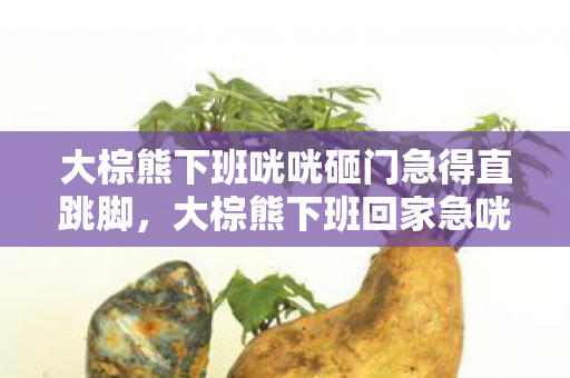 大棕熊下班咣咣砸门急得直跳脚,大棕熊下班回家急咣咣砸门,究竟为何? 大棕熊下班咣咣砸门急得直跳脚,大棕熊下班回家急咣咣砸门,究竟为何?