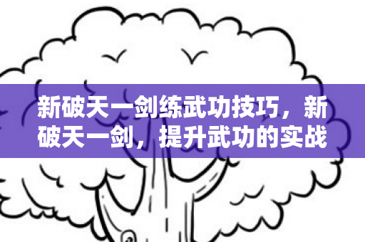 新破天一剑练武功技巧图片