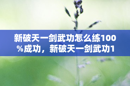 新破天一剑武功怎么练100图片