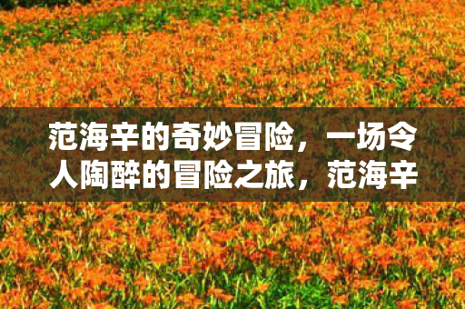 范海辛的奇妙冒险,一场令人陶醉的冒险之旅,范海辛的奇妙冒险,一场令人陶醉的冒险之旅 范海辛的奇妙冒险,一场令人陶醉的冒险之旅,范海辛的奇妙冒险,一场令人陶醉的冒险之旅