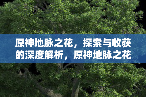 原神地脉之花,探索与收获的深度解析,原神地脉之花,探索与收获的深度解析 原神地脉之花,探索与收获的深度解析,原神地脉之花,探索与收获的深度解析