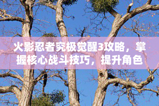 火影忍者究极觉醒3攻略,掌握核心战斗技巧,提升角色实力,掌握核心战斗技巧,提升角色实力,火影忍者究极觉醒3攻略 火影忍者究极觉醒3攻略,掌握核心战斗技巧,提升角色实力,掌握核心战斗技巧,提升角色实力,火影忍者究极觉醒3攻略