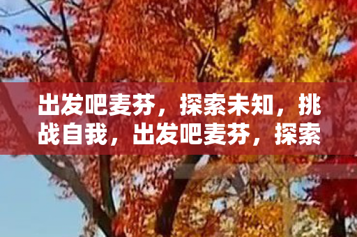 出发吧麦芬,探索未知,挑战自我,出发吧麦芬,探索未知,挑战自我之旅 出发吧麦芬,探索未知,挑战自我,出发吧麦芬,探索未知,挑战自我之旅