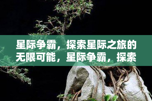 星际争霸，探索星际之旅的无限可能，星际争霸，探索星际之旅的无限可能