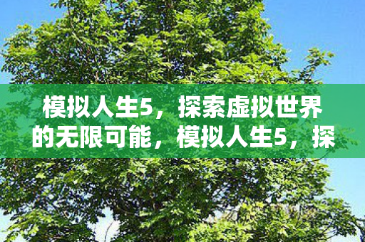 模拟人生5，探索虚拟世界的无限可能，模拟人生5，探索虚拟世界的无限可能