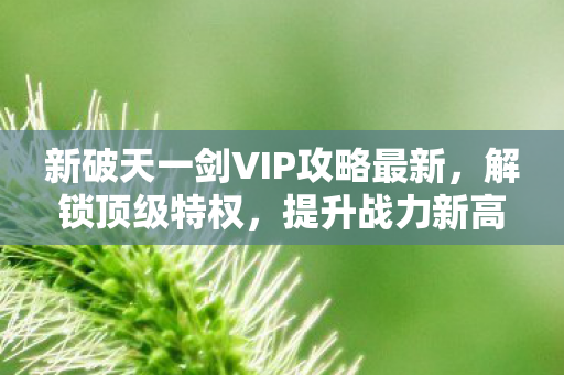 新破天一剑VIP攻略最新,解锁顶级特权,提升战力新高度,新破天一剑VIP攻略,解锁顶级特权,助你战力飙升 新破天一剑VIP攻略最新,解锁顶级特权,提升战力新高度,新破天一剑VIP攻略,解锁顶级特权,助你战力飙升