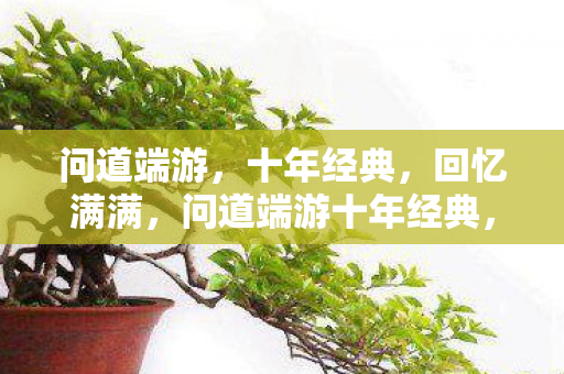 问道端游十年经典图片