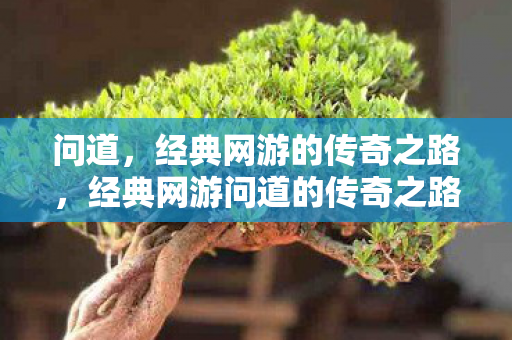 经典网游问道的传奇之路图片