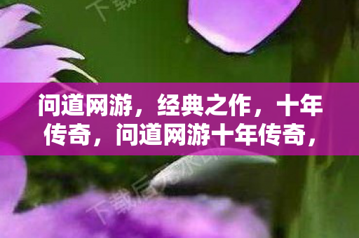 问道网游十年传奇图片