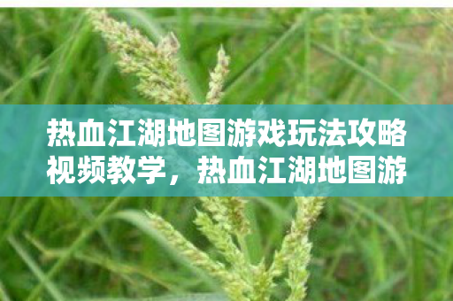 热血江湖地图游戏玩法攻略视频教学,热血江湖地图游戏玩法全解析 热血江湖地图游戏玩法攻略视频教学,热血江湖地图游戏玩法全解析