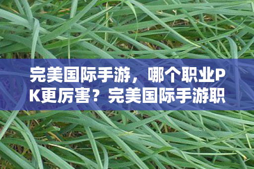 完美国际手游,哪个职业PK更厉害?完美国际手游职业PK实力排行 完美国际手游,哪个职业PK更厉害?完美国际手游职业PK实力排行