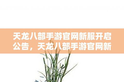天龙八部手游官网新服开启公告,天龙八部手游官网新服今日开启 天龙八部手游官网新服开启公告,天龙八部手游官网新服今日开启