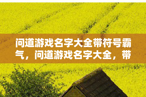 问道游戏名字大全带符号霸气图片